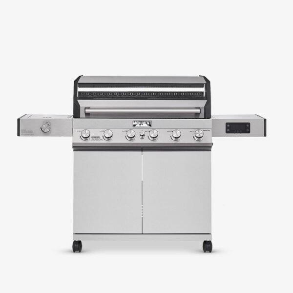 6 burner gas grill